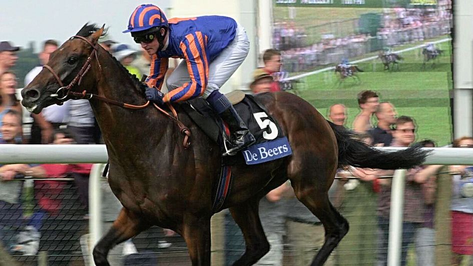 Montjeu comes home in front in the King George