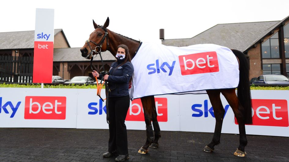 Envoi Allen after winning at Punchestown