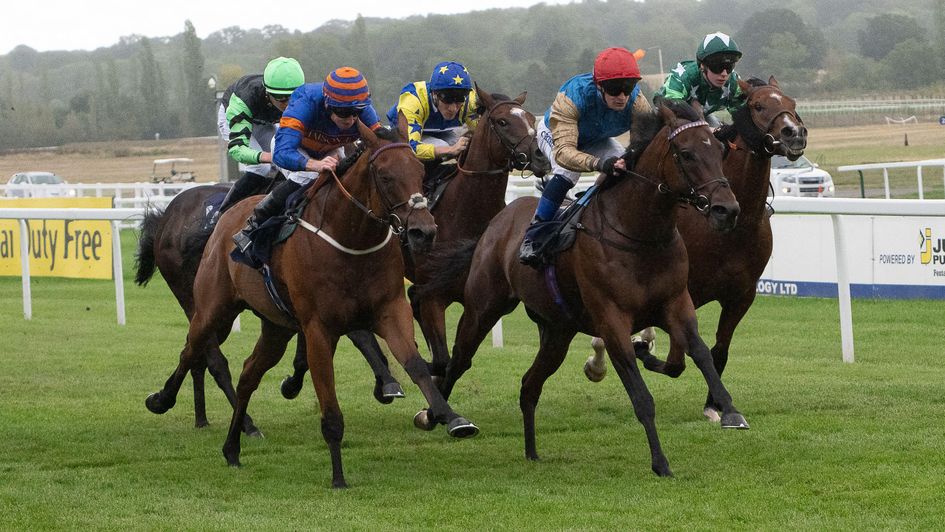 Garfield Shadow scores at Newbury