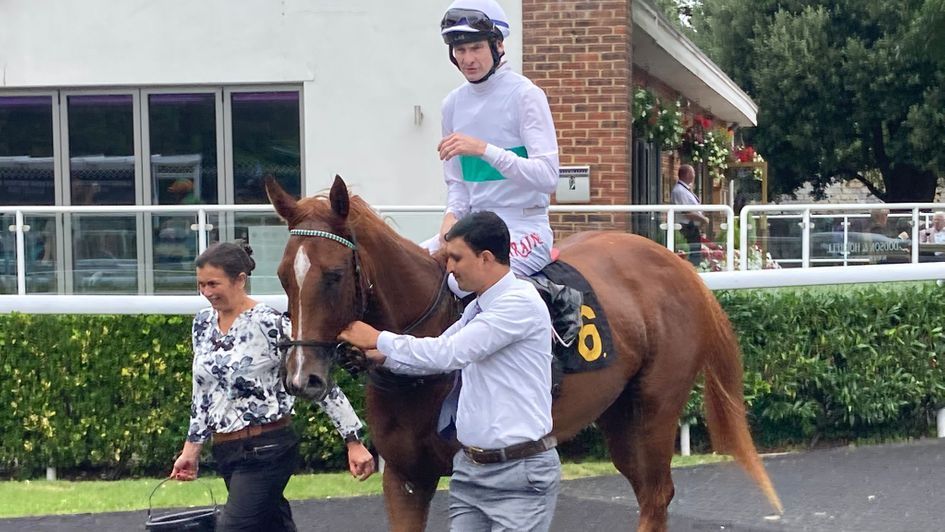 Natasha and Robert Havlin