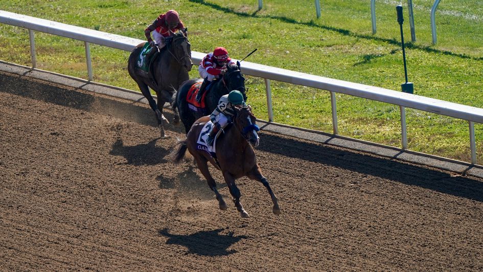 Gamine all class at Keeneland