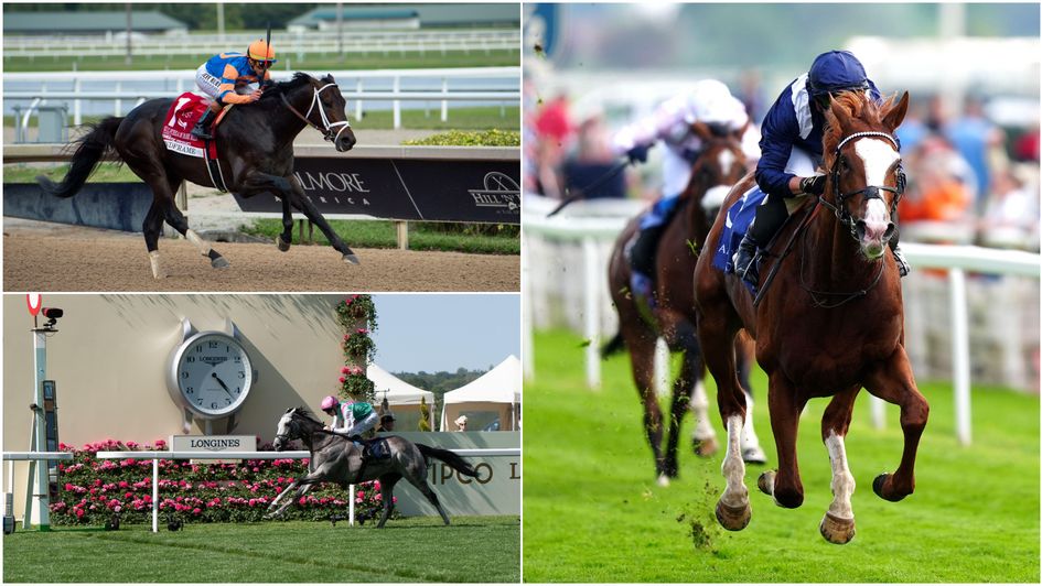 Some of those on recovery missions deep into the campaign