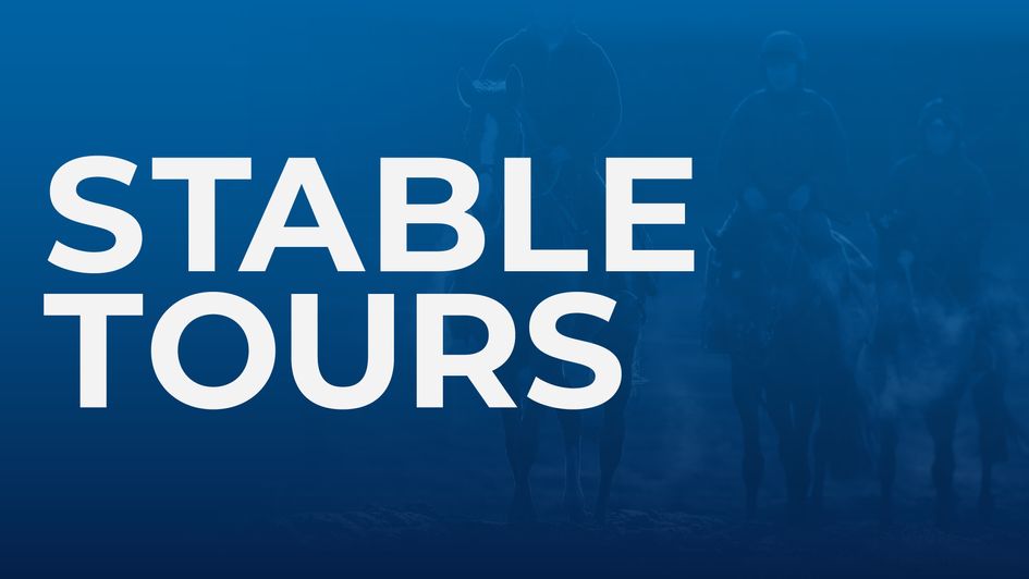 National Hunt Stable Tours 2025/26: Willie Mullins, Dan Skelton, Paul Nicholls and more