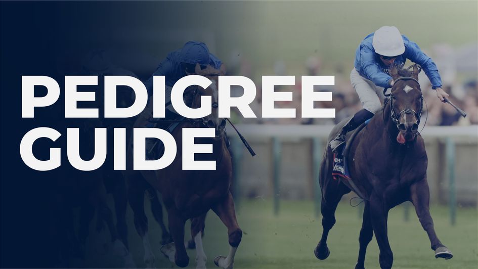 Are the clues in the breeding?