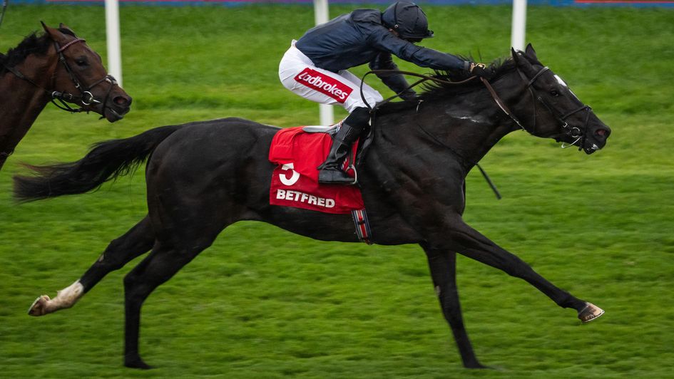 Puerto Rico in full flow at Doncaster