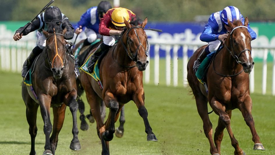 Chindit (left) takes the measure of Albasheer