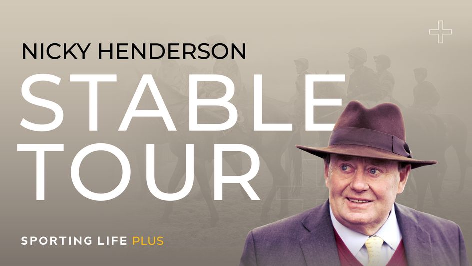 Nicky Henderson Cheltenham Stable Tour