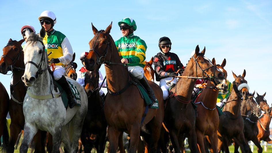 Horses form a line at the Grand National start