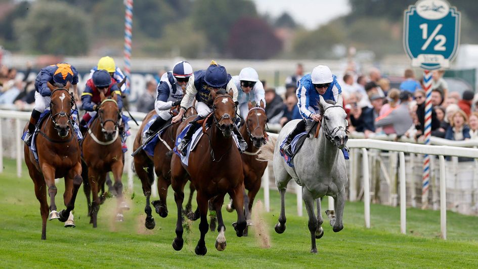 Royal Fixation on her way to Lowther victory