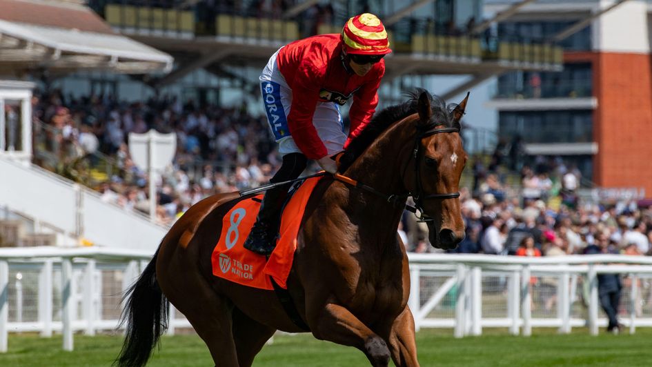 Circus Of Rome - well-backed Northumberland Plate favourite