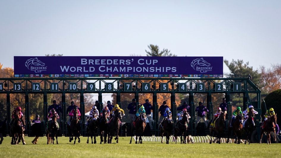 Action from the Breeders' Cup at Keeneland