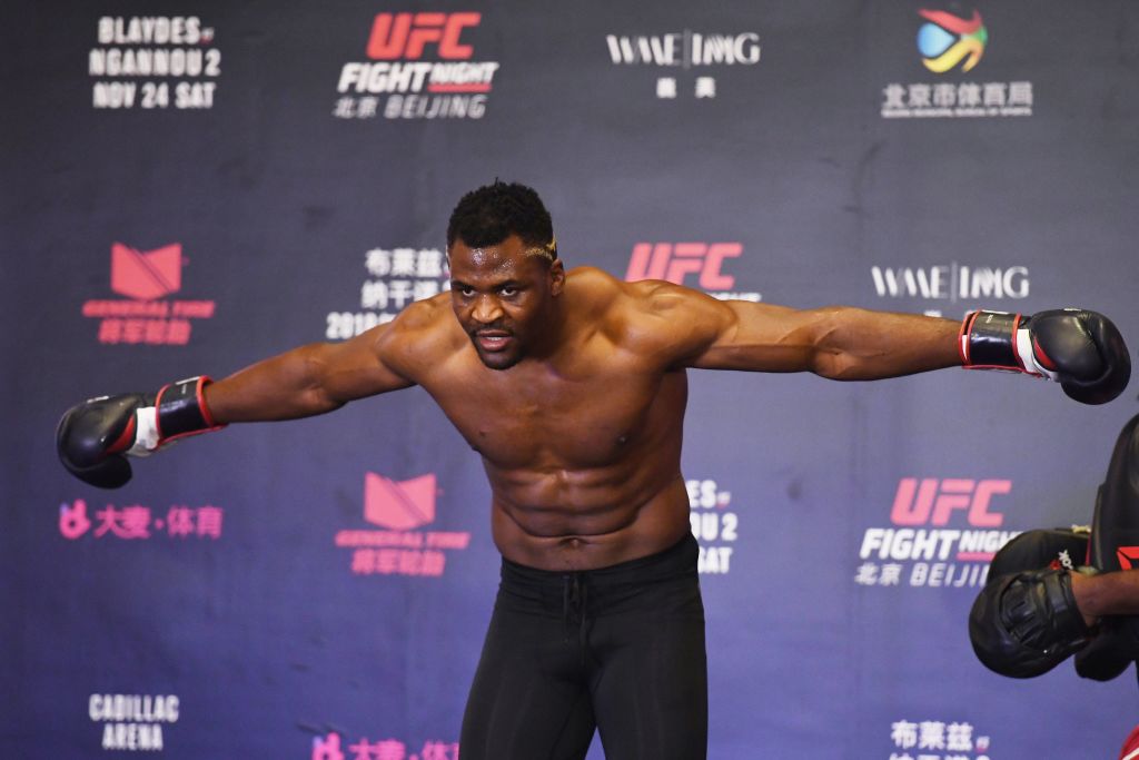 francis ngannou net worth 2024