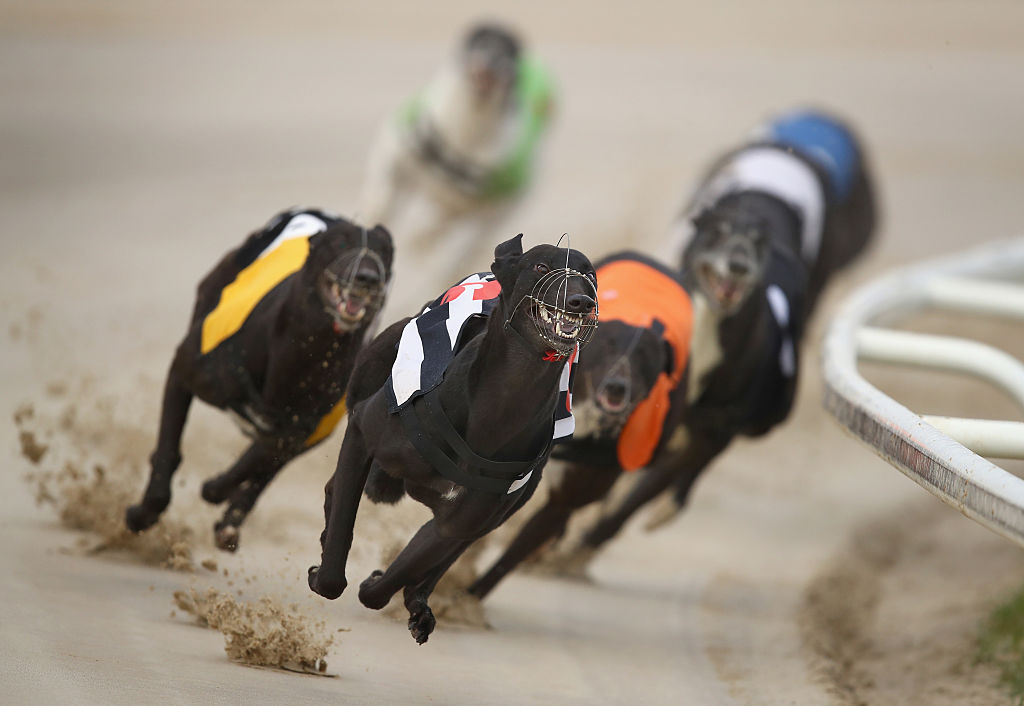 crayford dogs betting sites