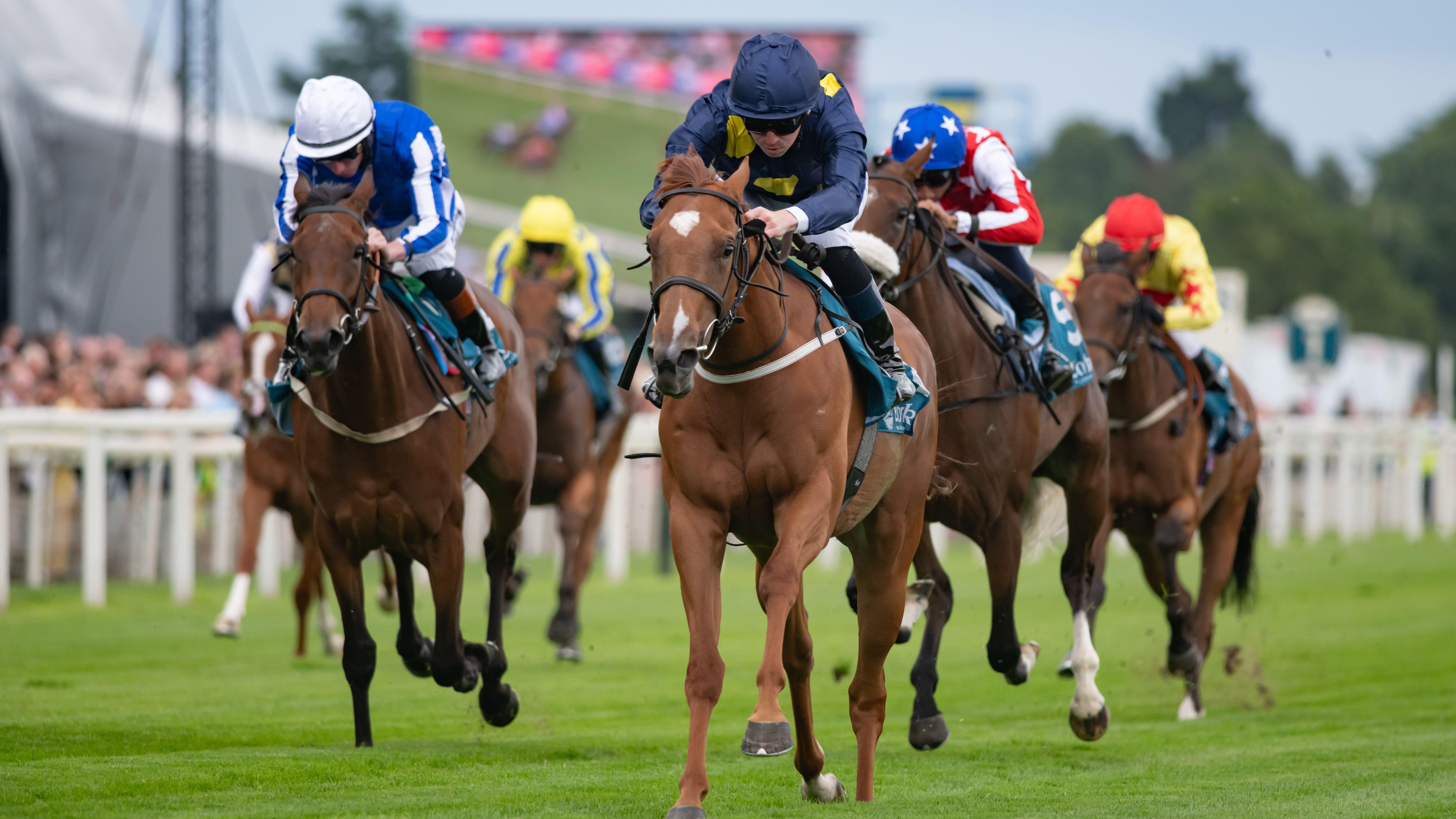 Golden Palace wins at York for Richard Fahey