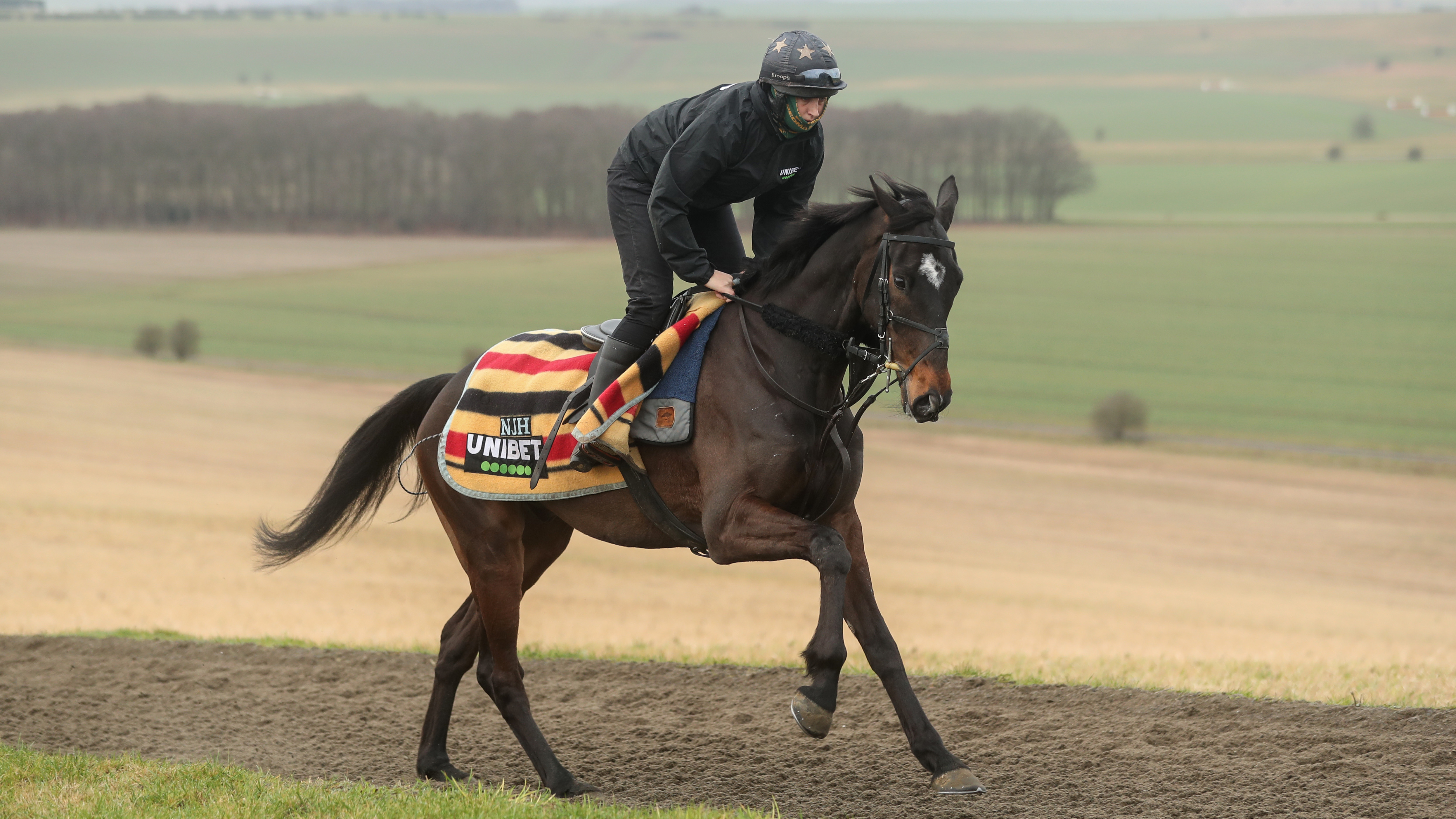 Shishkin on the gallops at Seven Barrows