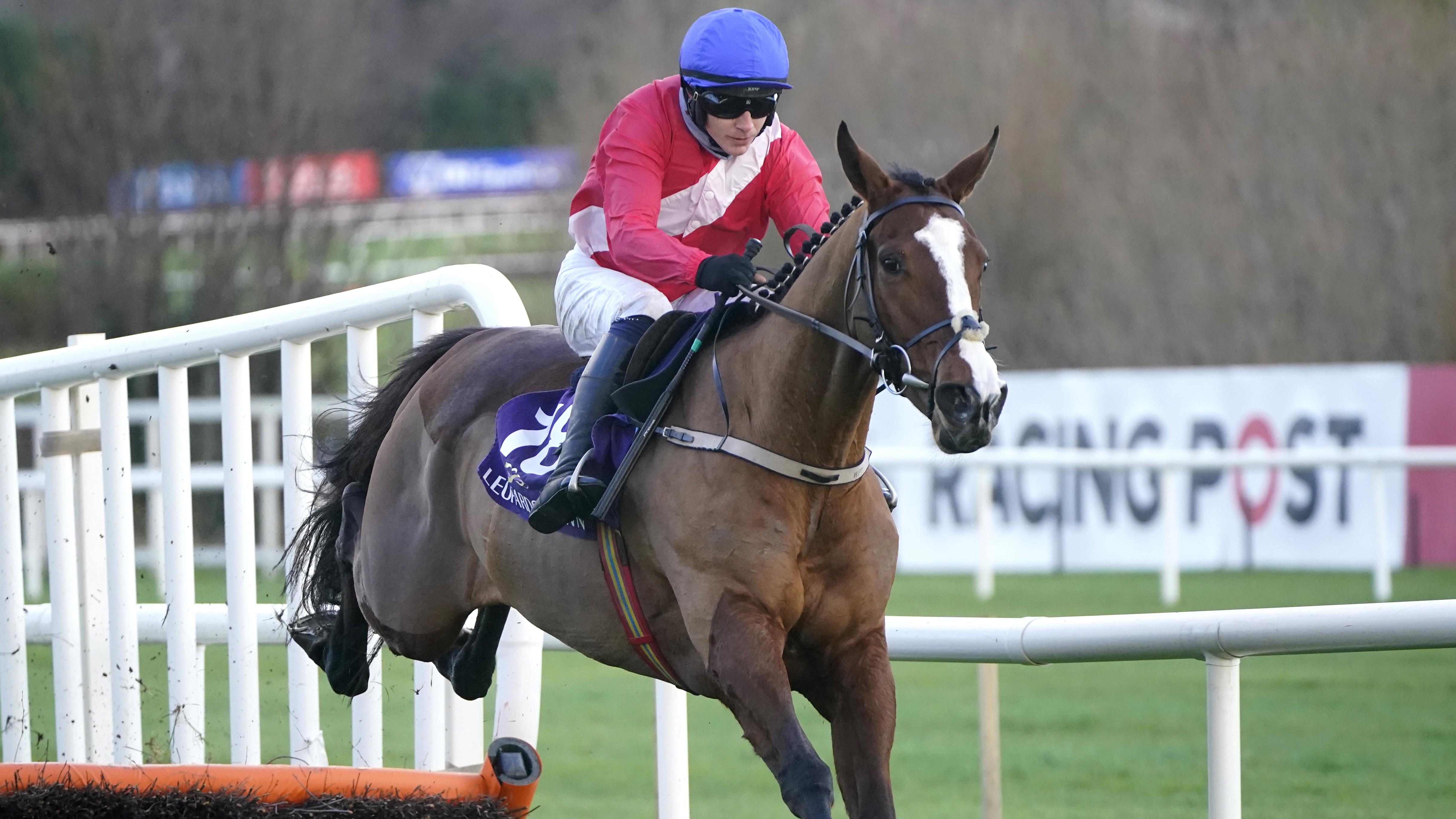 Sir Gerhard under Paul Townend at Leopardstown
