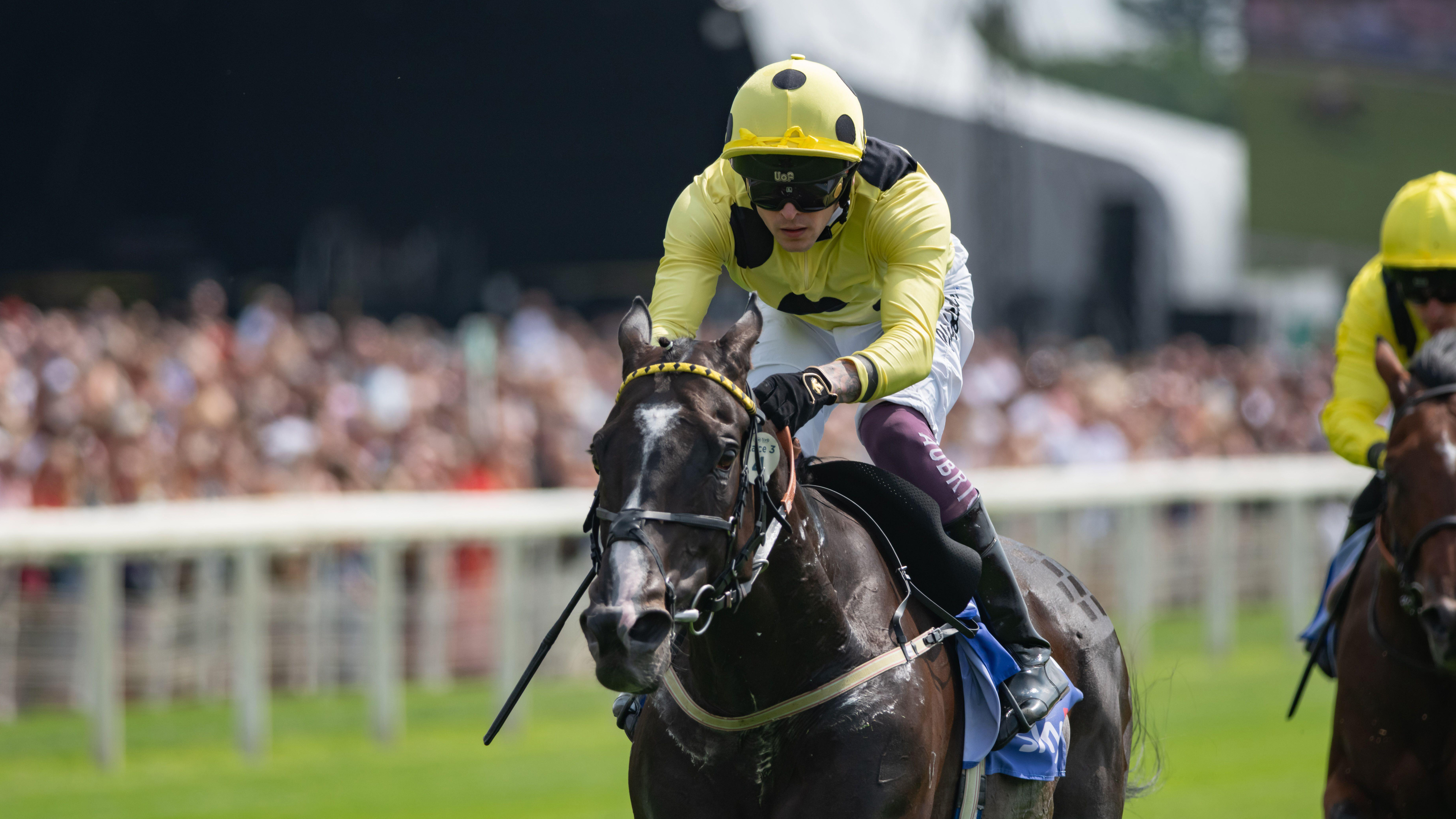 Royal Champion wins the Sky Bet York Stakes