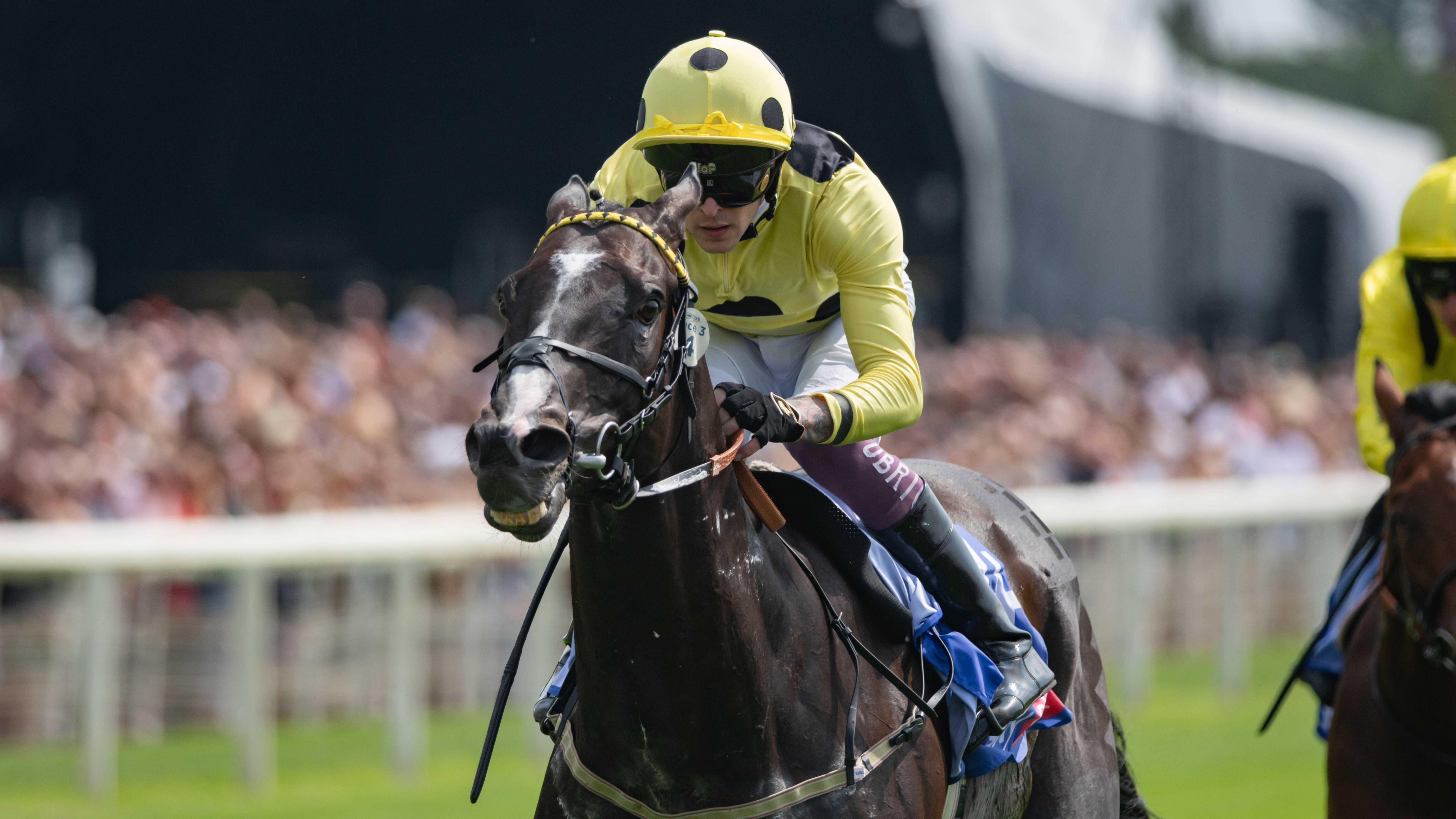 Royal Champion wins under Clifford Lee