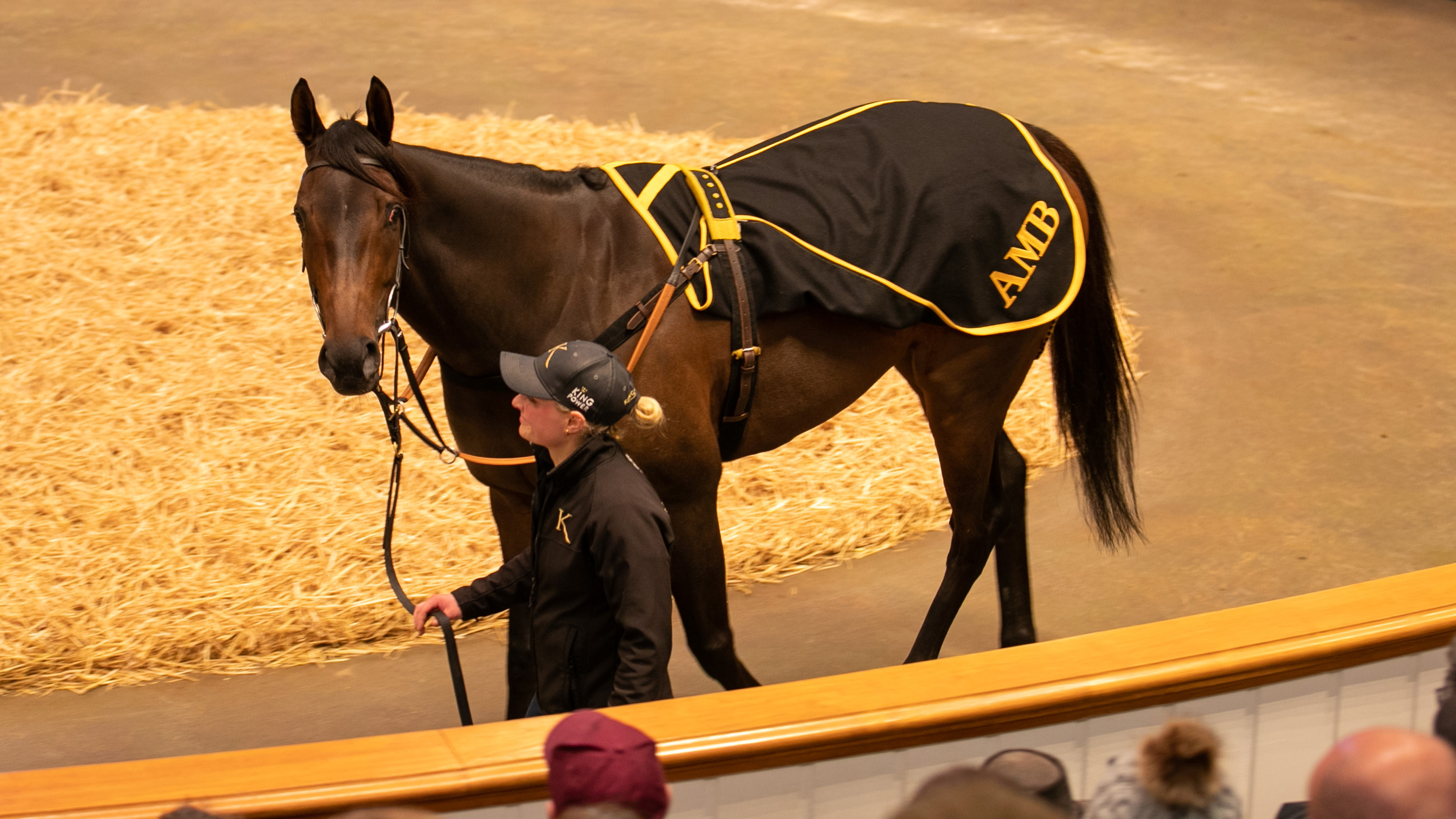 Three topics in the world of bloodstock in 2022