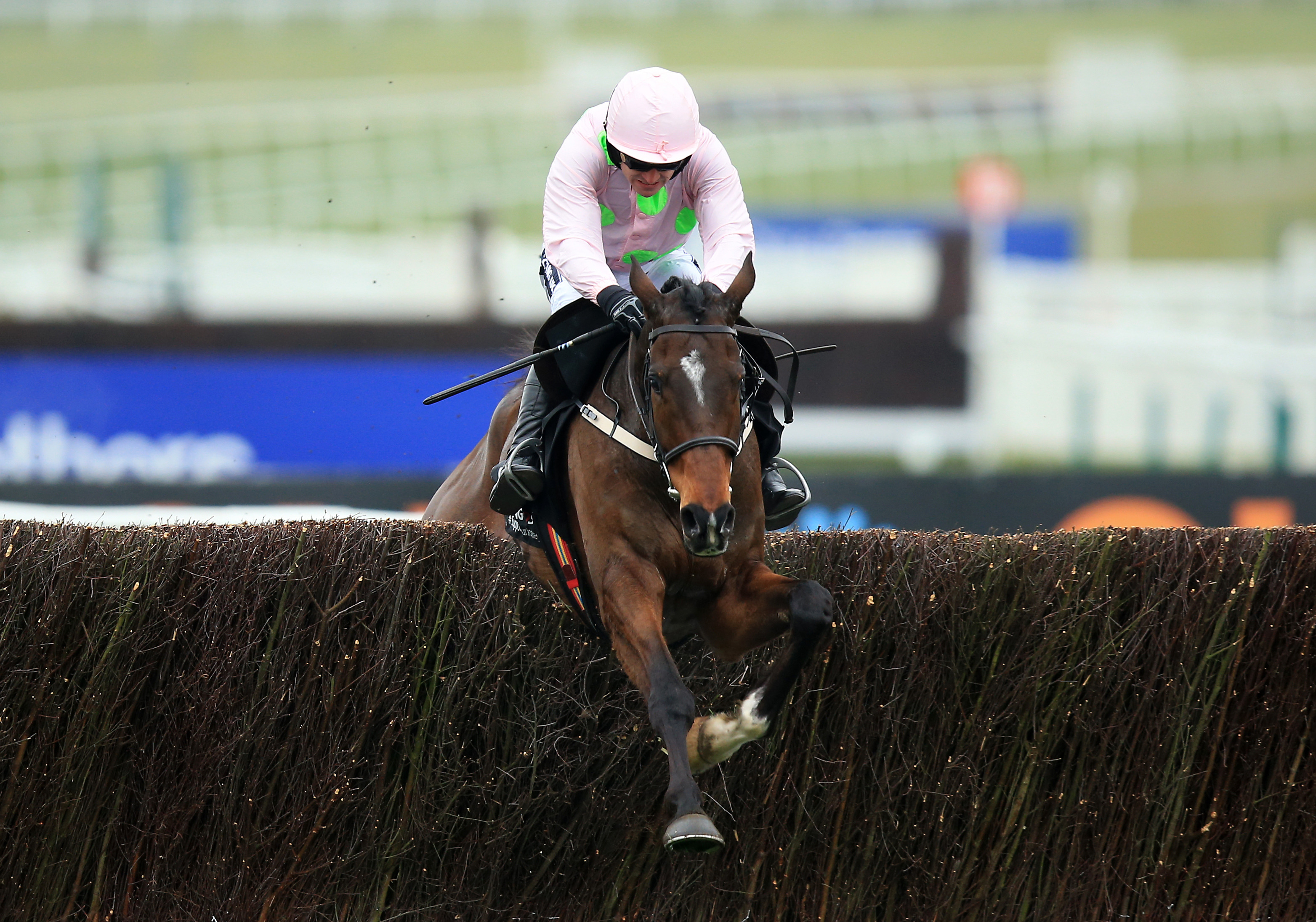 Douvan: Seven rivals