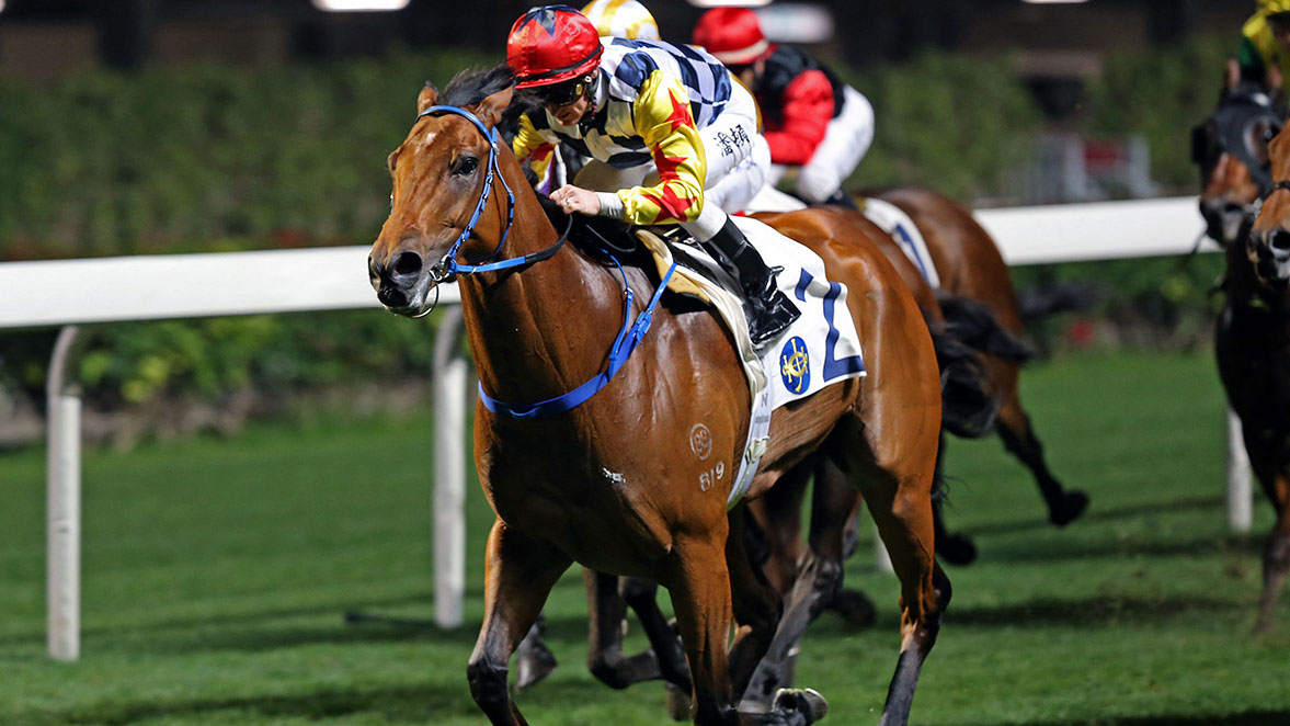 Amazing Star - more to come