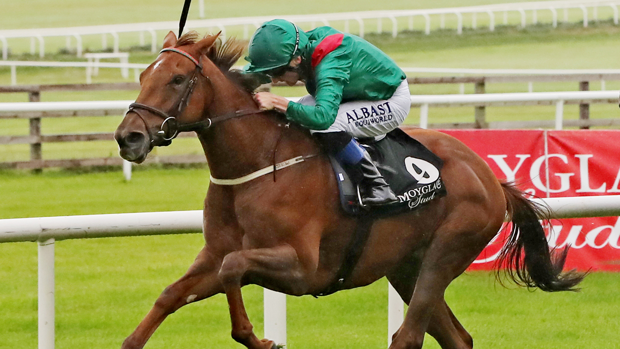 Dermot Weld Looking To Tarnawa To Break Irish Champion Duck