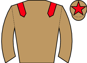 Horse silk