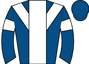 Horse silk