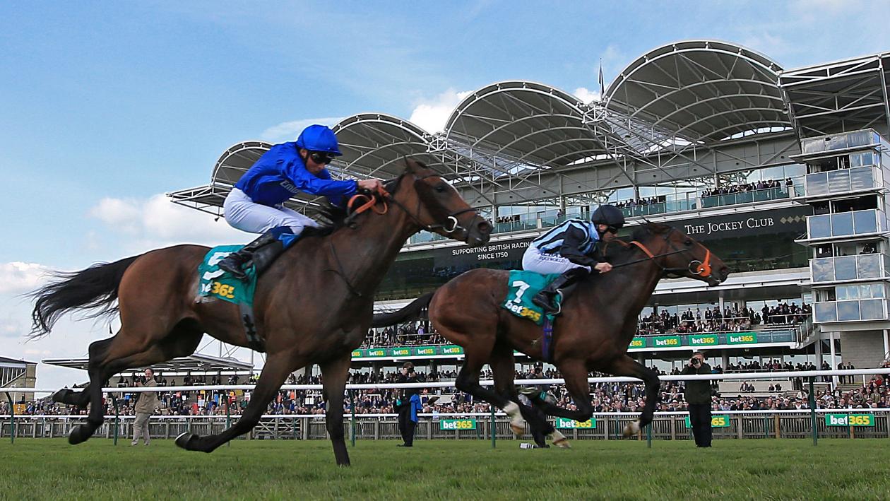 Madrid shows Steel in Earl of Sefton at Newmarket Horse