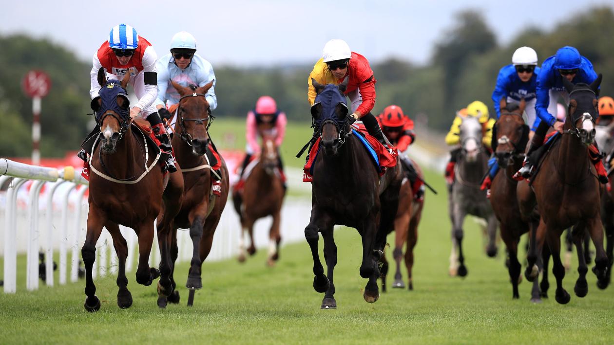 sky horse racing betting tips