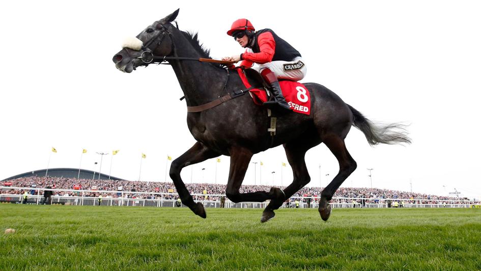 Saphir Du Rheu