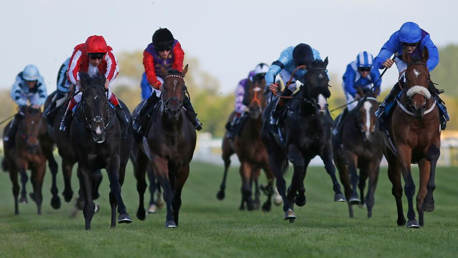 Duke Of Bronte (right) swoops