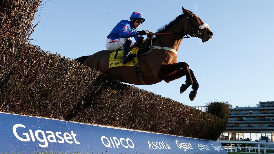 Cue Card at Ascot