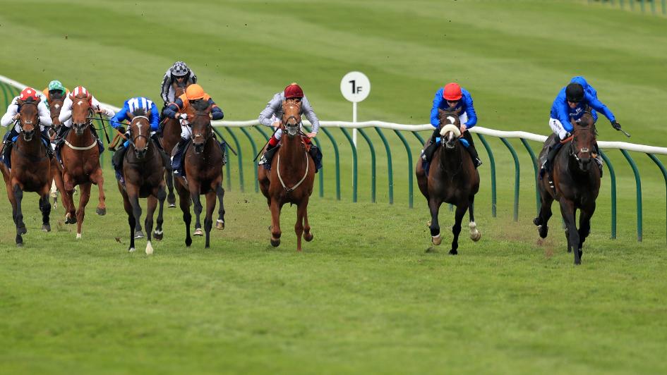 Action from Newmarket