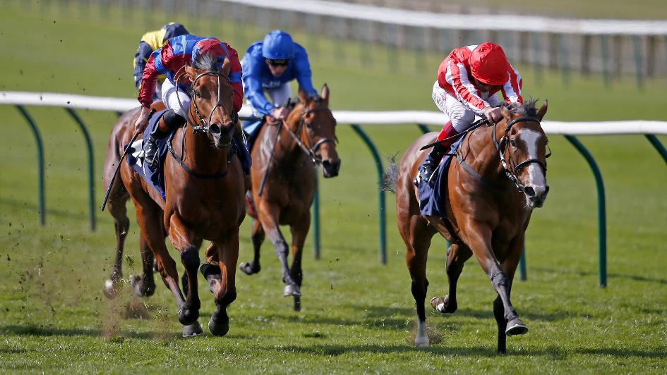 Daban (right) wins at HQ