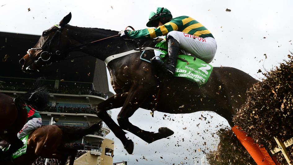 Buveur D'Air at Cheltenham